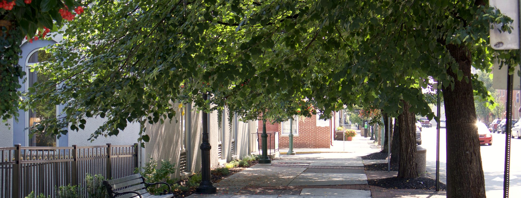 A tree-lined sidewalk on High Street in downtown Carlisle, Pennsylvania